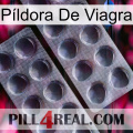 Píldora De Viagra 31